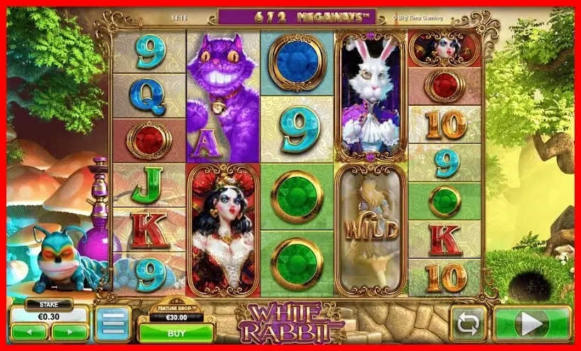 흰 토끼 메가웨이